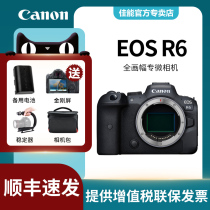 Canon EOS R6 full-frame professional-grade micro-single camera 4K video 8-level anti-shake digital r6 body kit