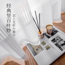 Japanese vertical Louver dreamy gauze curtain transparent to the living room bay window white sand bedroom sunscreen partition curtain veil