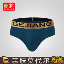 Modal mens underwear breifs elastic breathable tight-fitting youth this year red pants spring summer autumn winter season