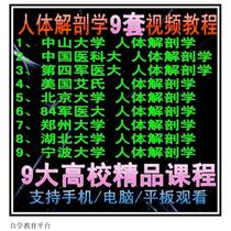 Human anatomy video tutorial Graduate school teaching video Clinical medicine video tutorial