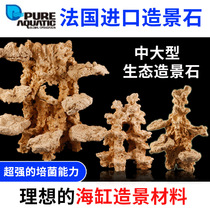 P brand French imported bacteria sea tank landscape stone keel tree setting background plate curved keel coral reef
