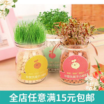 Creative Diy Negative Ion Water Petting Office Desktop Microscape Plant Radiation Protection Mini Small Potted Plant