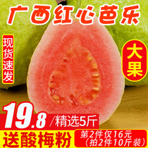 Pure fragrant fruit Guangxi specialty red heart guava guava fruit seasonal 5kg whole box pomegranate Fresh 10