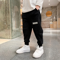 Boys  autumn pants casual pants 2021 new childrens clothing large childrens sports pants spring and autumn foreign style Korean version of the tide