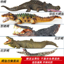 Simulation of crocodile model large soft glue Emperor alligator Chinese alligator Nile crocodile wild boar crocodile children boy toy gift