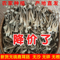 Deer antler mushroom dried goods deer fungus 500g sulfur-free wild fungus fresh special local soup ingredients shiitake mushrooms