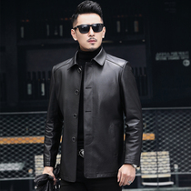 Haining leather leather clothing mens middle-aged and elderly autumn winter coat plus cotton head layer cowhide leather jacket loose size dad dress