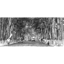 (1111)(mounted) Huang Zhenhuang Boulevard paper new pen drawing with group photo