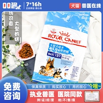 Royal dog food MAS30 large dog milk cake lactation pregnant dog shepherd Alaska weaning puppies 4kg