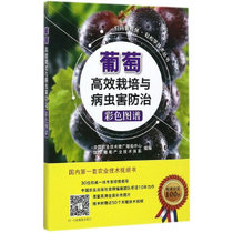 Genuine Grape Efficient Cultivation and Pest Control Color Atlas Map Sweep for video Easy Learning Technology Series Agriculture Technical Promotion Service Center Grape Industry Technical System Grape Growing Sick