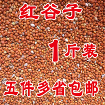 High quality parrot food red millet peony xuanfeng tiger skin food bird food bird food feed a 500g