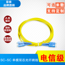 Telecom grade SC-SC single mode double core optical fiber jumper square SC single mode tail fiber square head tail fiber 9125