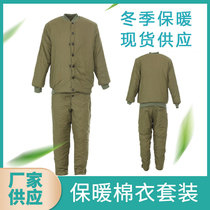 Winter cold and warm cold storage winter cotton padded clothing padded labor insurance cotton jacket cotton padded jacket cotton pants suit