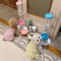 THE PAWS dairies Bathyme Taiwan DADIDOO the Great All dogs Vertical Drinking Water Drinking Water Drinking Water Drinking Water