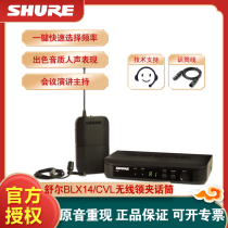 Shure Schure BLX14 CVL BLX14 PGA31 wireless head wear collar clip microphone microphone interview