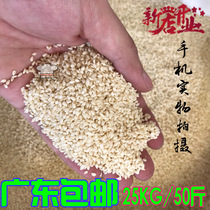 White sesame 25kg 50 catty Cantonese peeling bulk farmhouse Self-producing sesame seeds raw white sesame seeds