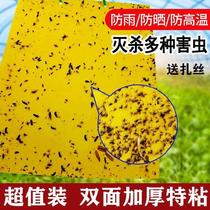 Sticker board 60-piece double-sided yellow board fruit tree fly killing farm special rapeseed insect tea garden physical market sticky flies