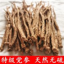 Dang Shen premium 1 catty sulfur-free natural raw ecological soup material soak water can be used with astragalus angelica