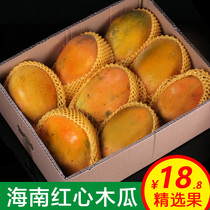 Hainan red heart milk papaya whole box seasonal rock sugar green papaya large papaya fresh fruit season 10kg