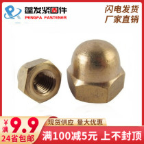 Car copper cap GB923 copper cap nut copper cap nut M4M5M6M8M10M12M14M16M18M20M24