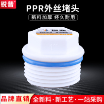 Sharp PPR water pipe joint accessories Outer wire choke plug 20 25 32 4 6 points 1 inch PPR outer tooth choke plug