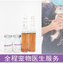 Pimillium Bixicillin injection Panicillini Dermatitis Abscess Pneumonia Bronn Rabbit Cat Dog Pet Medicine