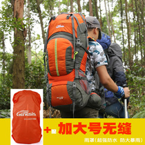 Large capacity outdoor travel backpack mens mountaineering bag double shoulders women ultra light hiking camping tour waterproof backpack 60 liters