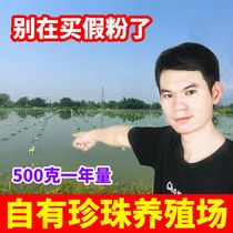 500g pure pearl powder facial mask powder natural external application flagship store official non-oral non-whitening non-light spot