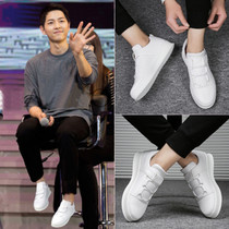 Tide brand mens shoes 2021 new small white shoes spring and autumn Joker thick bottom Korean version of the trend inside increased casual breathable board shoes