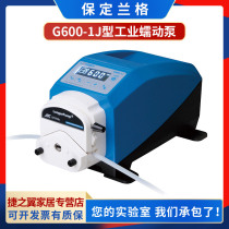 Baoding Langerg G600-1J-1 Industrial peristaltic pump constant flow pump