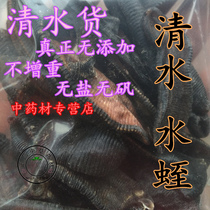 Clean water cargo leech dry wild leech leeches pink leeches pink leech horse turtle 10 gr raw Chinese herbal medicine hanging dry without salt