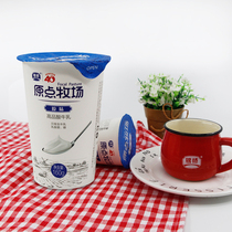 Silver Bridge Probiotic Fermented Yogurt Original Flavor Milk 160g * 12 Milk Whole Boxes Wholesale