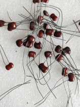 Mica capacitors 100p