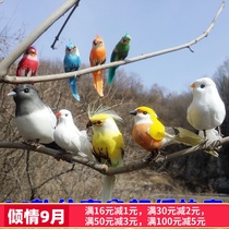 Simulation bird decoration decoration fake bird real feather simulation pigeon swallow Magpie flocking foam bird decoration