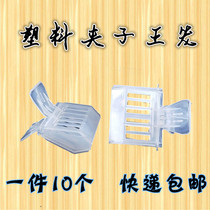 Plastic King Cage book clip type easy to take the Bee King prisoner control multi-function King cage to prevent the Honey Bee King escape