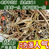 New Cargo Horse Whip Herb Chinese Herbal Medicine Dragon Bud Grass Crested Grass iron Horse whip Chinese herbal medicine 500G