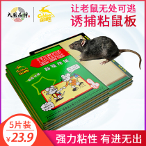 Golden Deer Mouse Sticky Mouse Plate Mousetrap Rexterminator Mouse Gum Household Mouse Sticky Board Mouse Clamp