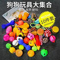 Pet dog toy ball resistant to biting puppies puppy molars screaming screaming chicken voice Teddy golden hair supplies