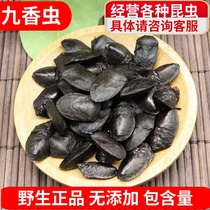 Jiuxiang Chinese herbal medicine Chinese herbal medicine to beat the fart shell worm for the fart 50g dung beetle Non-wild sale of the wild dragon dried