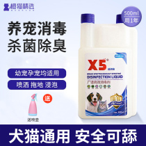 X5 disinfectant pet special environment germicidal to taste agents drag kitty Puppy dog toxoplasmosis sterilized water