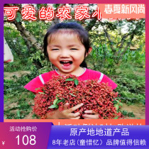 Shanxi Pingshun country of origin 2020 new Dahongpao pepper stir-fry spices barbecue seasoning 500g free grinding