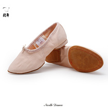  North dance low-top elastic jazz teacher adult dance shoes soft-soled practice shoes Ballet shoes dance shoes Yoga shoes