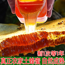 Honey Pure farm natural self-produced farm hive raw honey Laoshan Baihua Tufeng Honey 500g * 2 Wild crystals