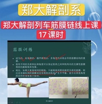 Zheng Tais anatomical train video fascia chain line class 17 class time