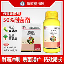  BASF Tribeca ester Strawberry grape pear powdery mildew leaf spot dark spot disease Plant and flower pesticide fungicide