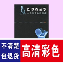 A Guide to Laboratory Tests in Medical Mycology Wang Duanli