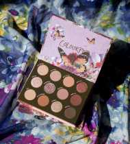 US Spot Colourpop Carla Bubble Purple Butterfly 12 Color Eyeshadow Plate Flutter