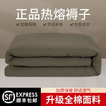 Hot melt mattress White mattress Single bed Student college dormitory cotton mattress Army green mattress Hot melt cotton