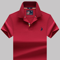 Summer mercerized cotton mens short sleeve t-shirt shirt collar slim fit mens casual dad top solid color ice polo shirt