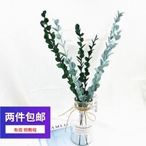 New flotation paper eucalyptus leaf material bag bouquet with leaves with grass paper flower labor skills class DIY handmade 7 sticks